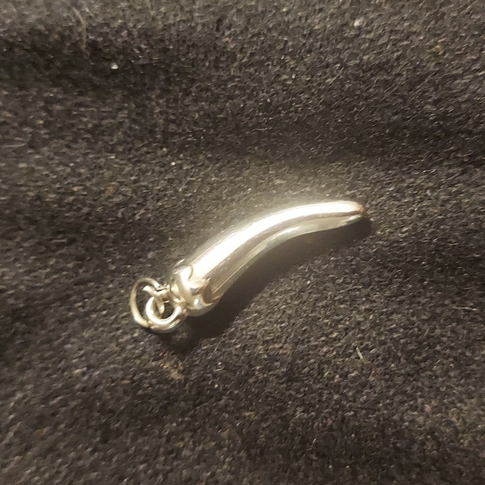 Vintage Silver Italian Horn Pendant